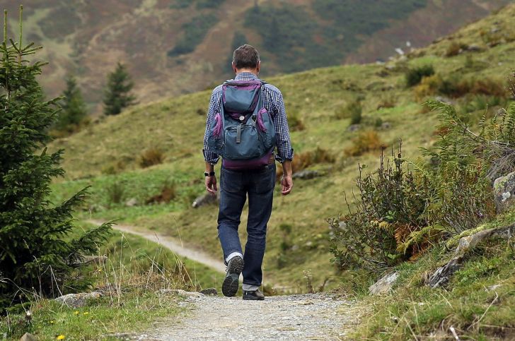 Sur les traces des animaux