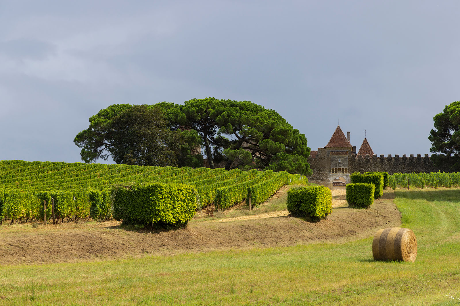 Château d’Yquem
