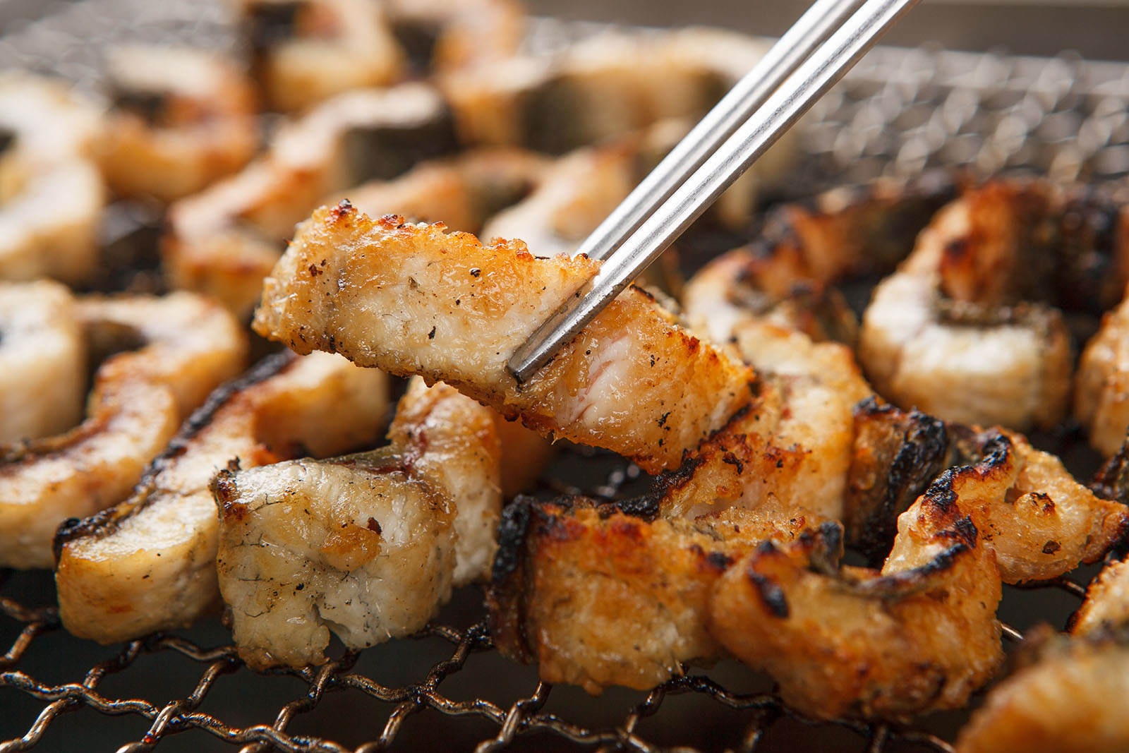 Anguilles grillées
