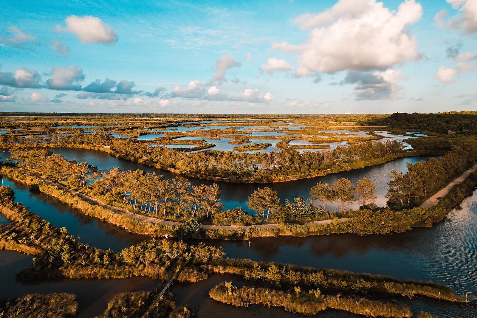 éserve ornithologique du Teich