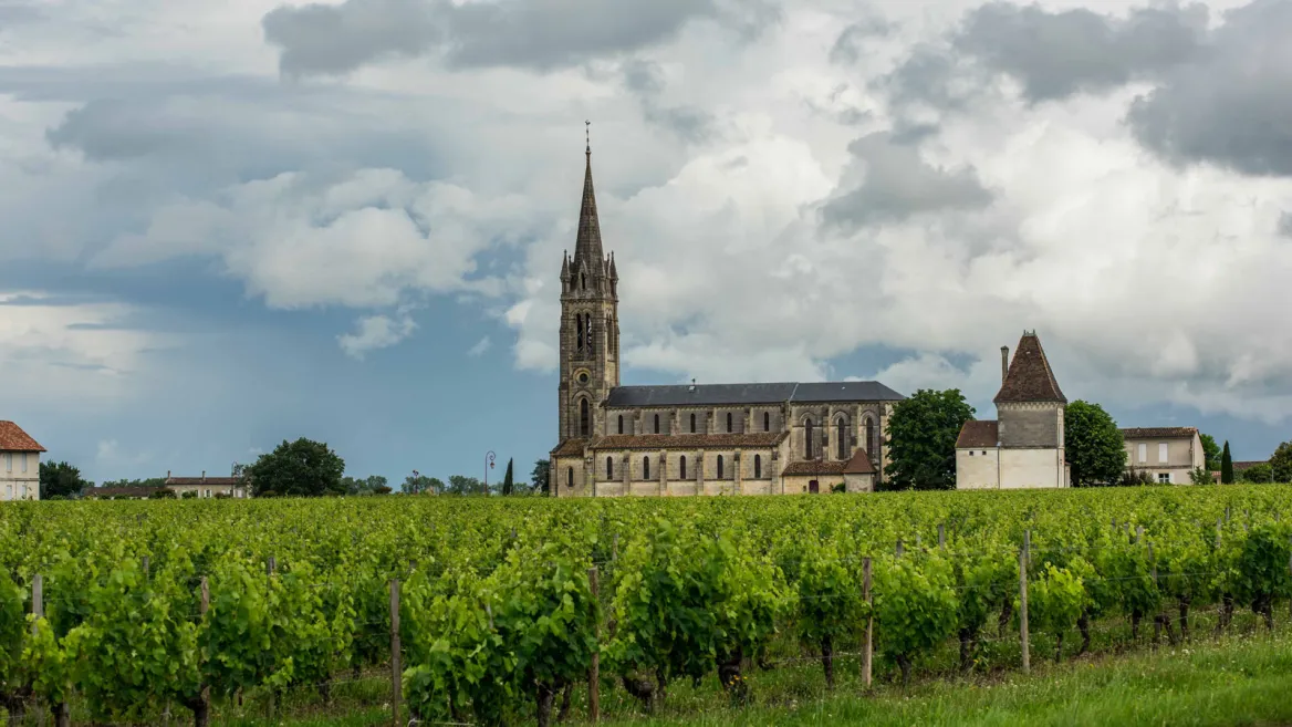 Bordeaux vineyards