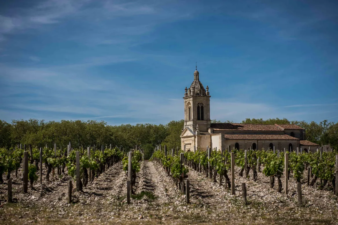 Medoc